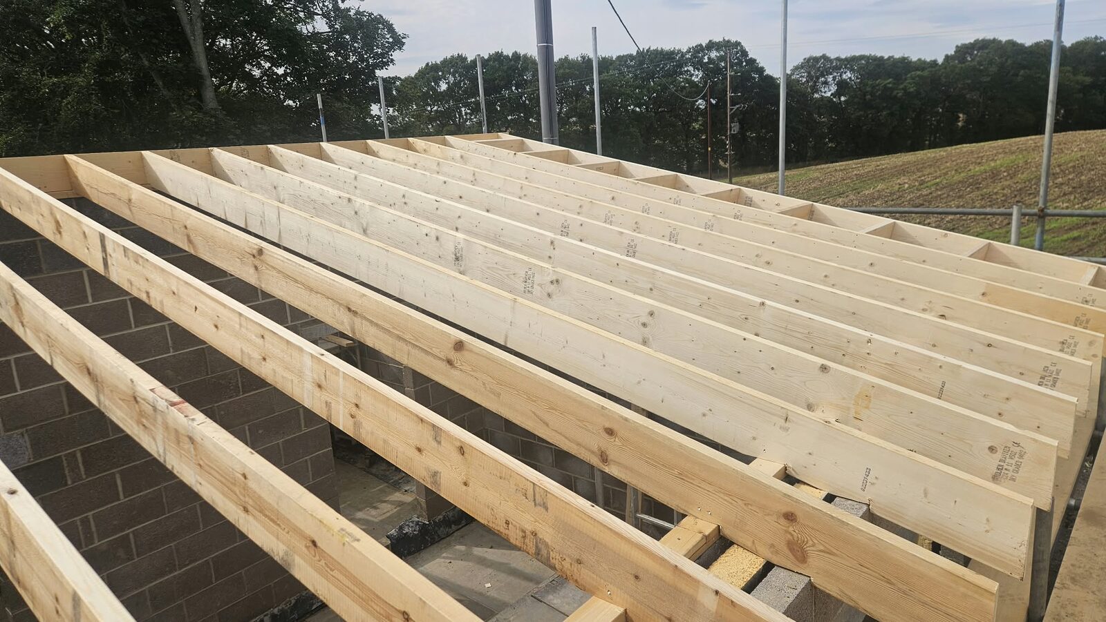 New timber floor joists laid over the blockwork